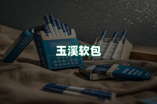 玉溪软包
